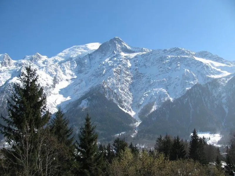 Chalet Le Geant Chamonixアパートメント