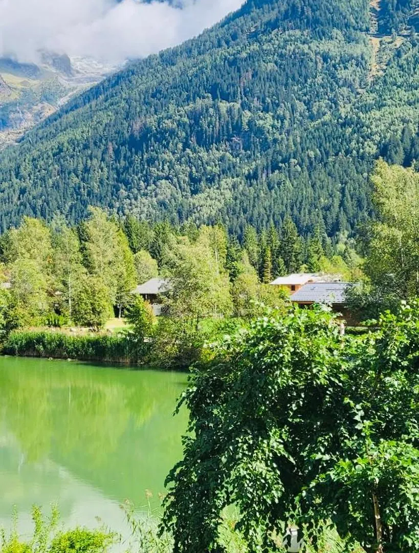 アパート Chalet Le Geant Chamonixアパートメント フランス